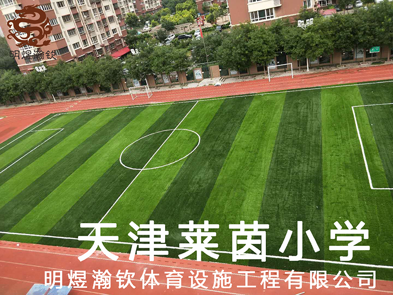 天津莱茵小学全塑型塑胶跑道